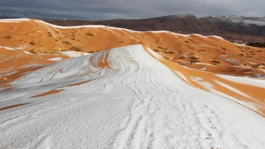 撒哈拉沙漠|撒哈拉沙漠下雪了！专家：这并不奇怪，以后也许会频繁出现