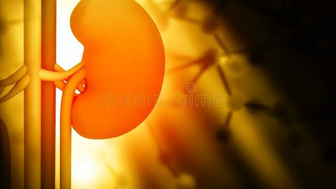 肾病|坚持做好2点可显著改善肾功能，不少肾友偷懒没做到