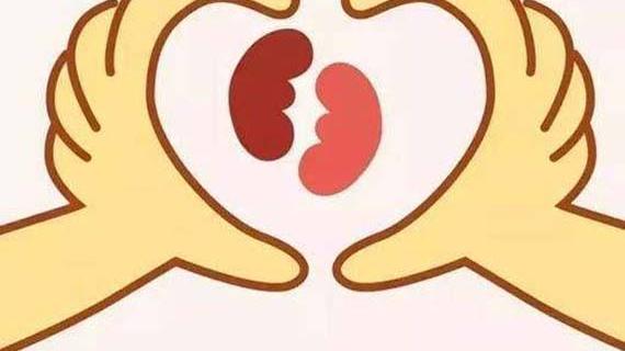 多囊|这样提升肾能量，多囊患者康复和好孕的前提