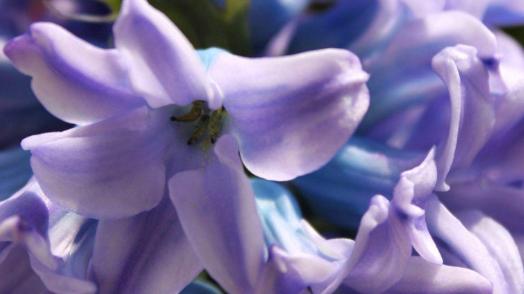 |啥日子出生的人，好运不间断，总有喜事找上门，福星照顾又保佑