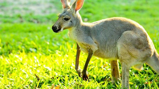 找不到问题的根本，治标不治本的手段，永远不能解决问题