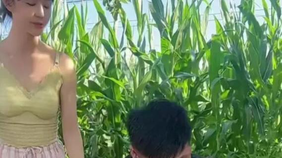 谢永强|“谢永强”回农村老家种菜，妻子穿着成亮点，网友：格格不入