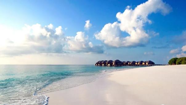 |日坐偏财，有经商发大财的可能