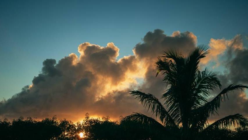 苹果|家电经销商还能继续吃政策囤货吗？