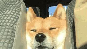 过来人忠告：装修时，这8样东西一定要提前买，别用师傅自带的