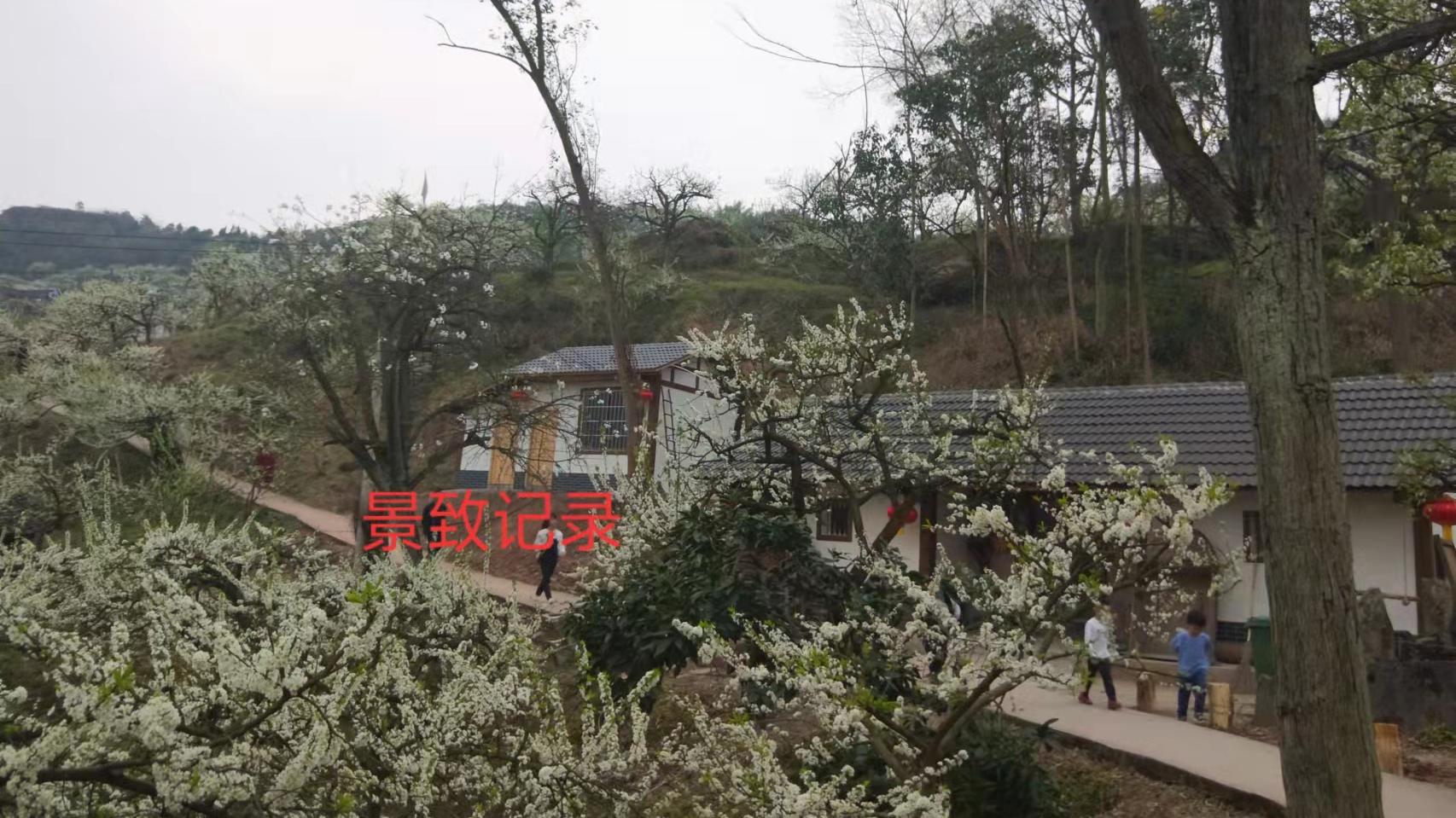 重庆|景致记录：重庆市大足区观音岩，小小乡情陈列馆，能否勾起回忆来