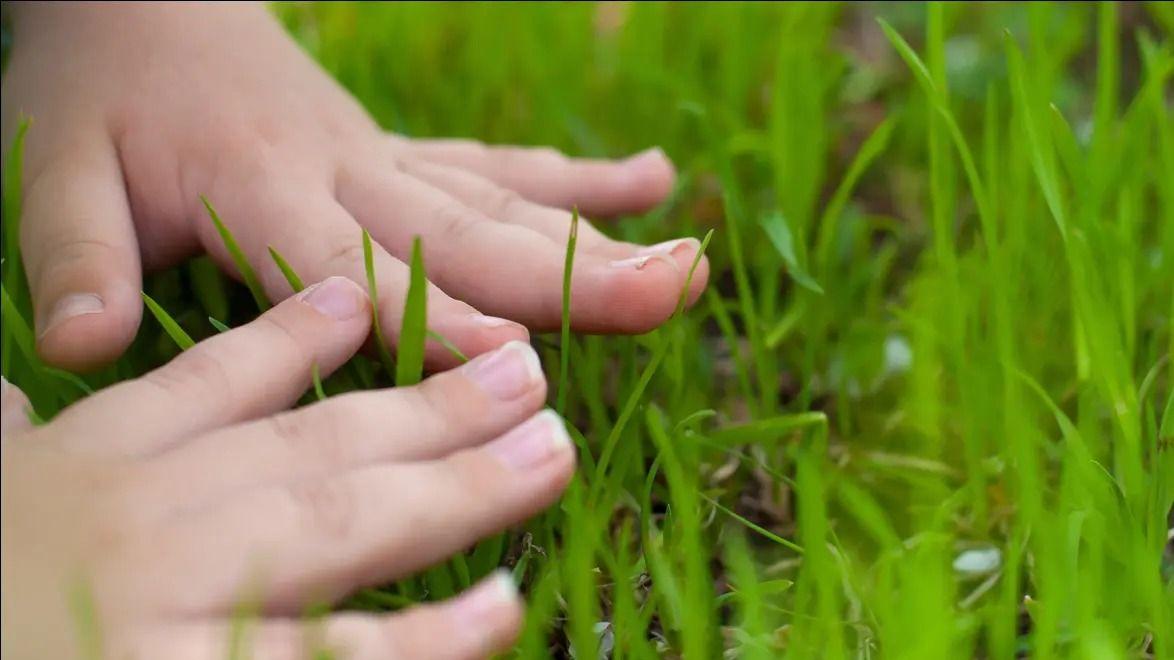 T-Mobile|“摸草”是什么意思？