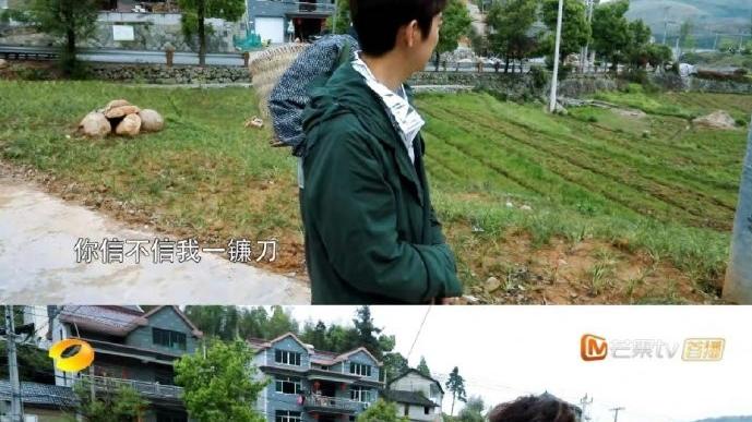 张子枫|张子枫疑似和焉栩嘉恋爱后，网友仿佛如黄磊附体：我要打死他