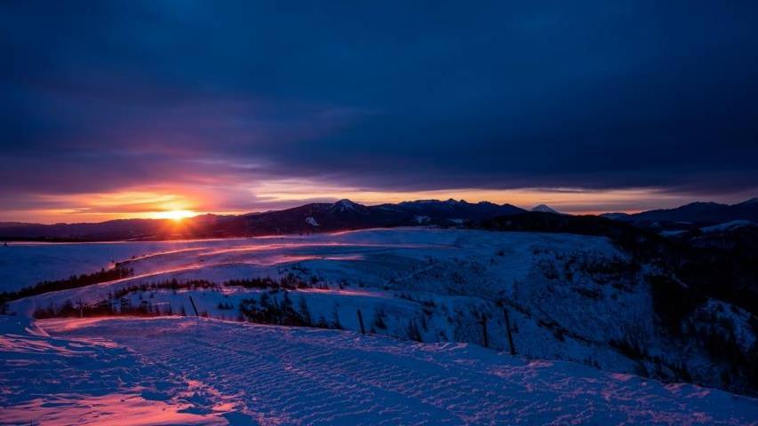 新型冠状肺炎|家电市场主流消费出现一些新鲜变化