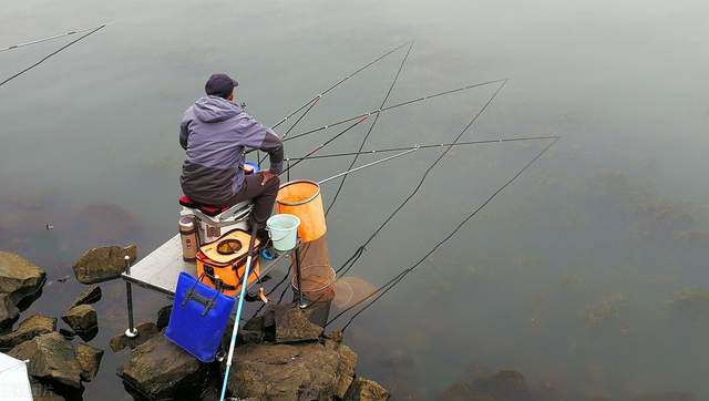 水库|“泥鳅钓鱼”为何人人喊打？3天钓空水库，比电鱼危害还大？