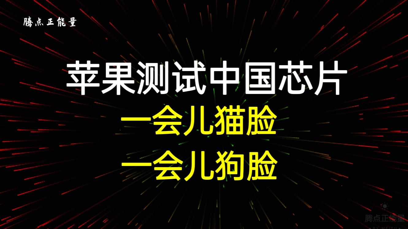 苹果|苹果测试中国芯片，一会儿猫脸，一会儿狗脸