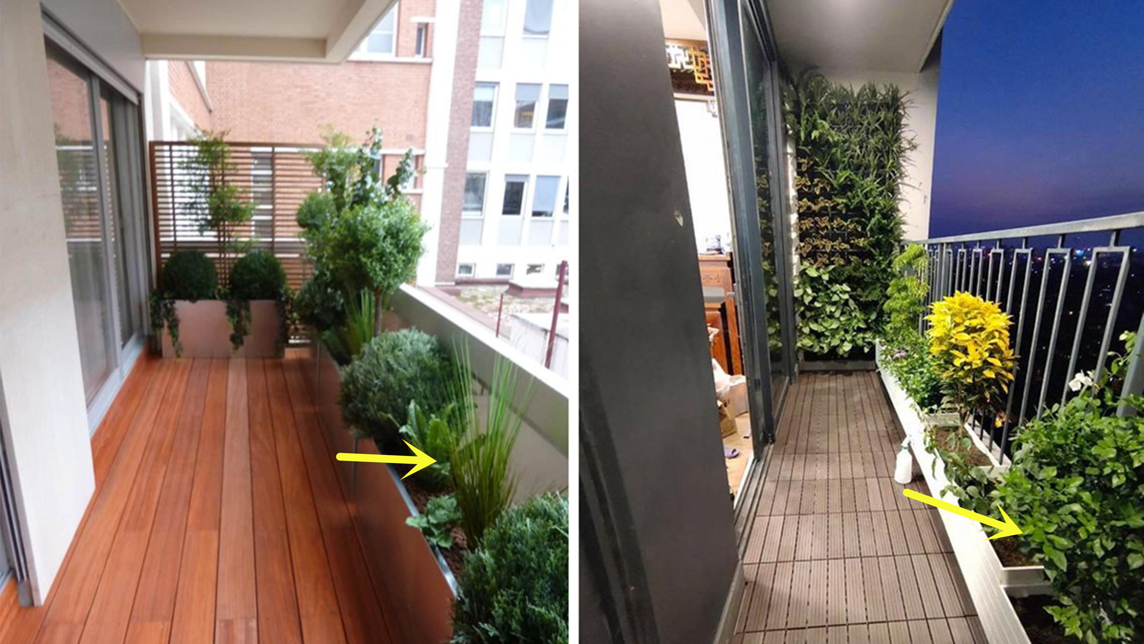 没有院子，那就用阳台代替，绕着护栏种一圈花圃，整栋楼独一无二