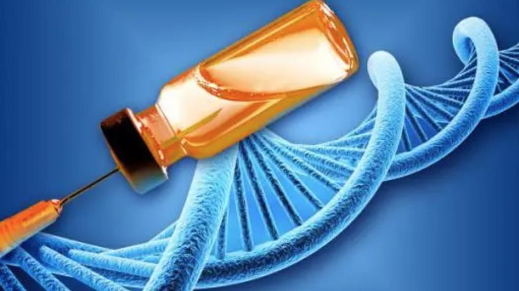 乙肝疫苗|乙肝在研新药JNJ-0535，HV诱导强烈反应，CHB温和适度反应