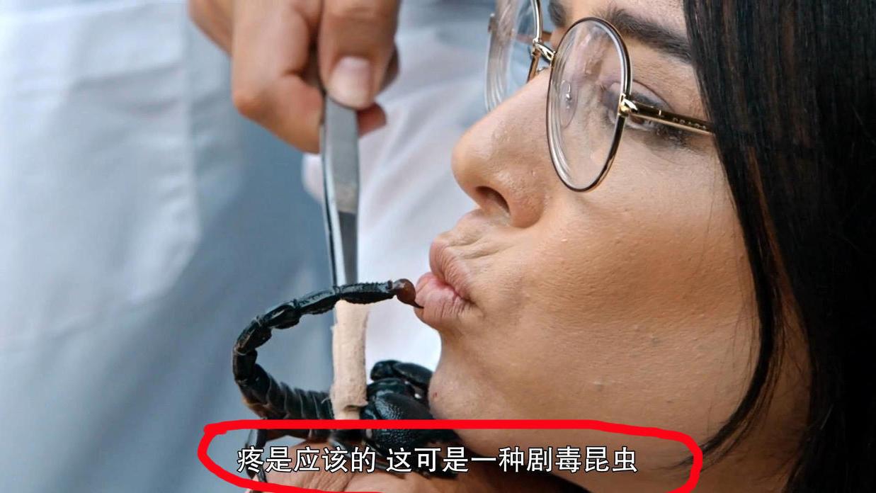 杨紫琼|一部丑化恶心中国人的电影，竟然在国内赢得满堂彩