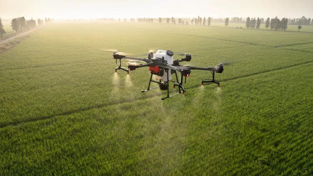 电子商务|物联网“赋农”，让农业更智慧