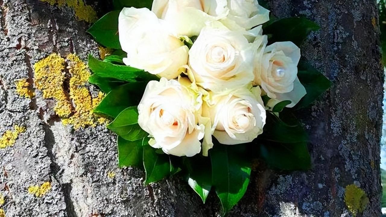 蜗居|《蜗居》：再出色的第三者，不幸的结局也是必然！