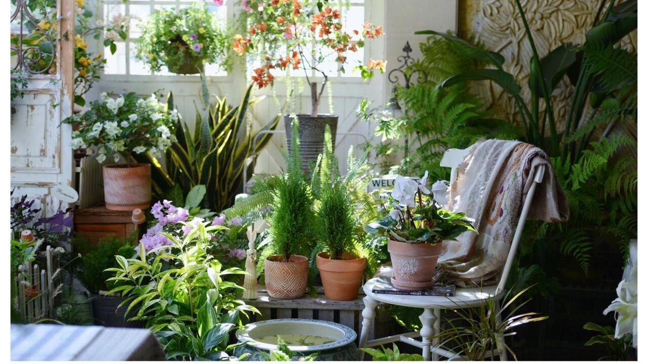 住了10年的小阳台，DIY改造成四季如春的“阳台花园”，太漂亮了