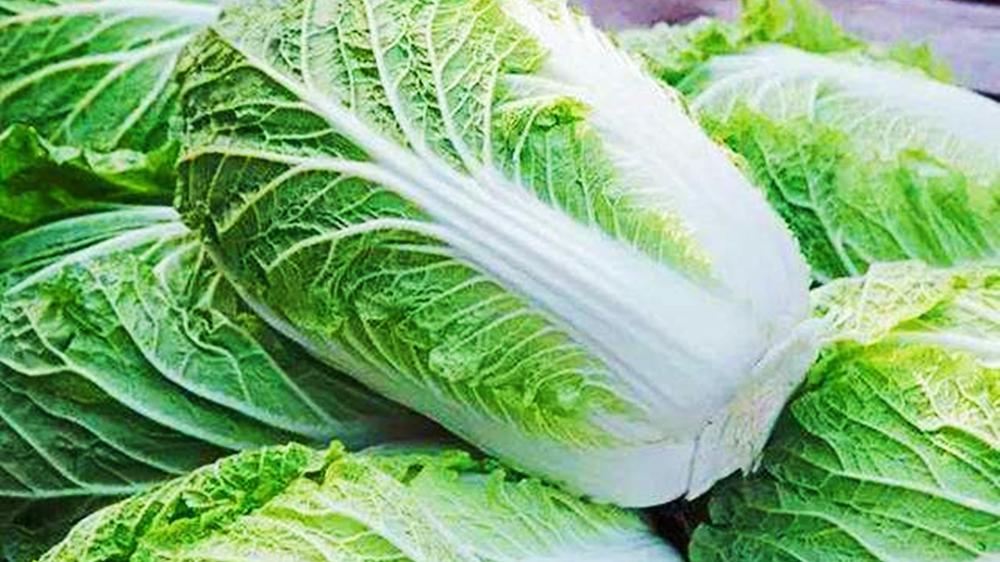 才发现，这种白菜不能买，不怪菜农，教你1秒认出“甲醛”菜
