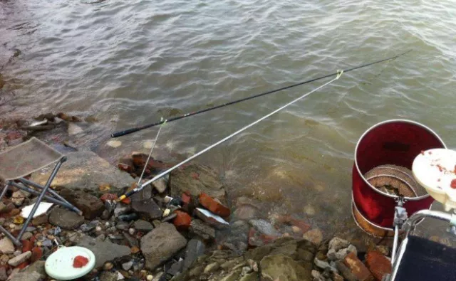 深水区|早春钓鲫，钓友记住这4点，保证你一钓一个准，鲫鱼一顿狂拉