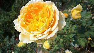 那些意难平的爱情文案：故事很短，内容很少，但很难讲