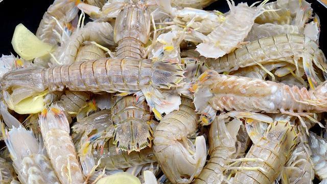 清明节|北方沿海“清明第一鲜”上市，50元1斤，也挡不住人们尝鲜的欲望