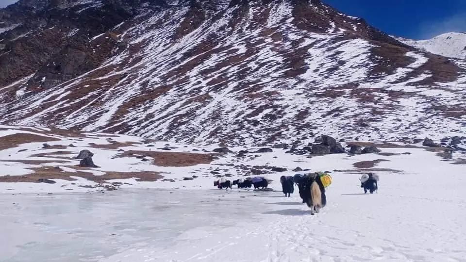 卓奥友峰|8000米山峰冬季探险：留给登山队伍的时间不多了