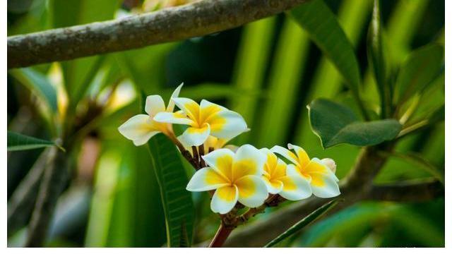 |人到中年，戒不掉这三种“低级爱好”的男人，不会有出息