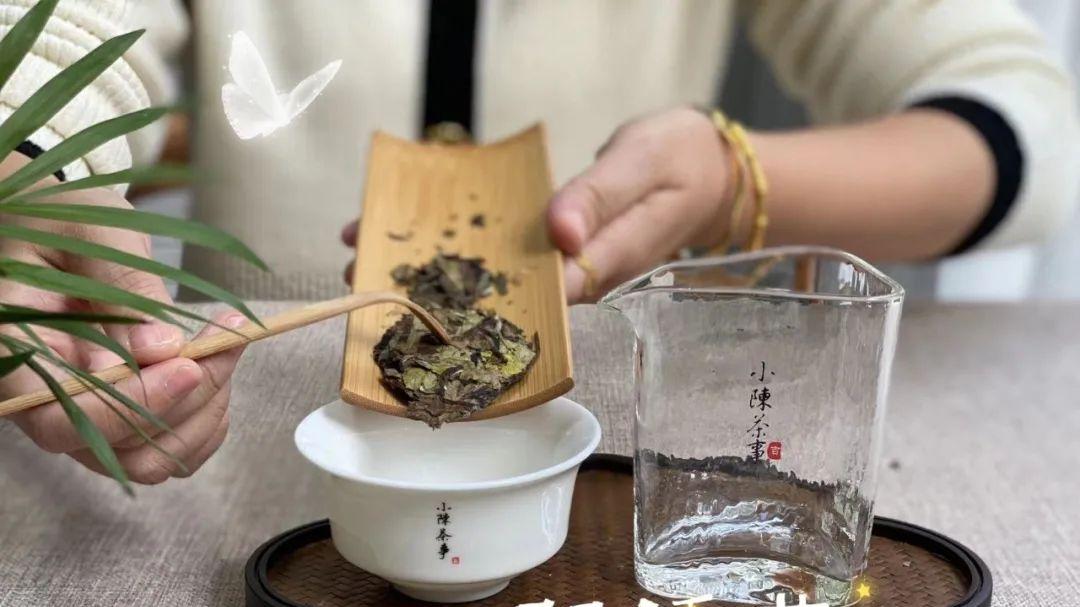 |压饼偏紧的白茶，应该怎么处理，要不要一次性全部撬开？