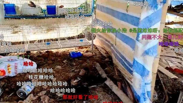 |跟他一组要出事，户外一姐爆猛料后，339二台竟劝其搭档9438二台？