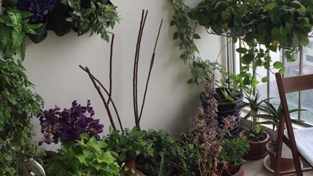 参观尼格买提住的豪宅，客厅铺了波斯地毯，装修富有异域风情