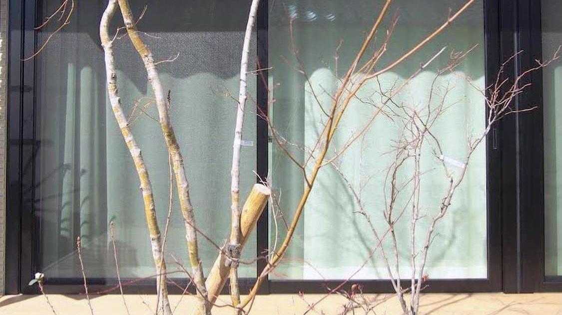 80后日本太太收纳有方！她坚持边买边扔，全屋有条不紊，学习了！