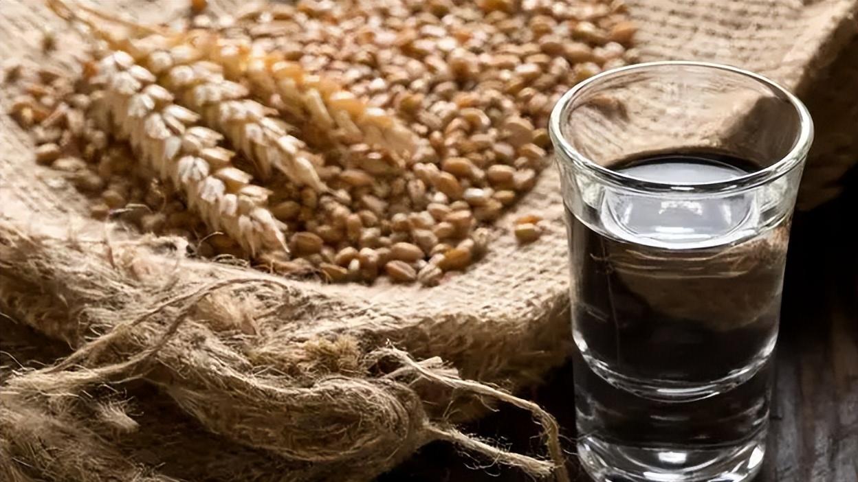 长寿|上了年纪不能喝酒？行家：未必! 人到中年，牢记这3点，安心喝