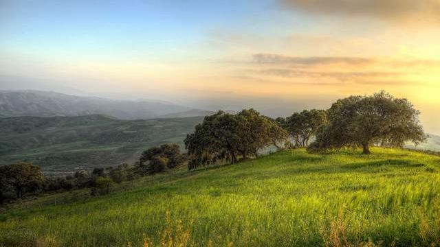 家庭教育|家庭教育指导师考试报名职业简介