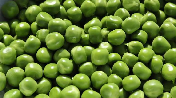 豌豆|4月，遇到这豆买20斤，不要焯水，冷冻一年也新鲜，不干瘪不发黄