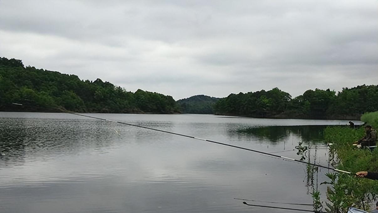 |小暑将临，鱼群转移！大鱼常在这些地方“聚头”，抢到就能爆护