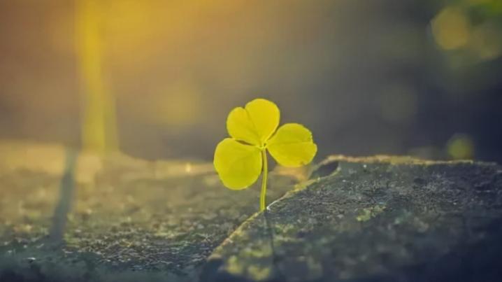 |人在单位，该争就争