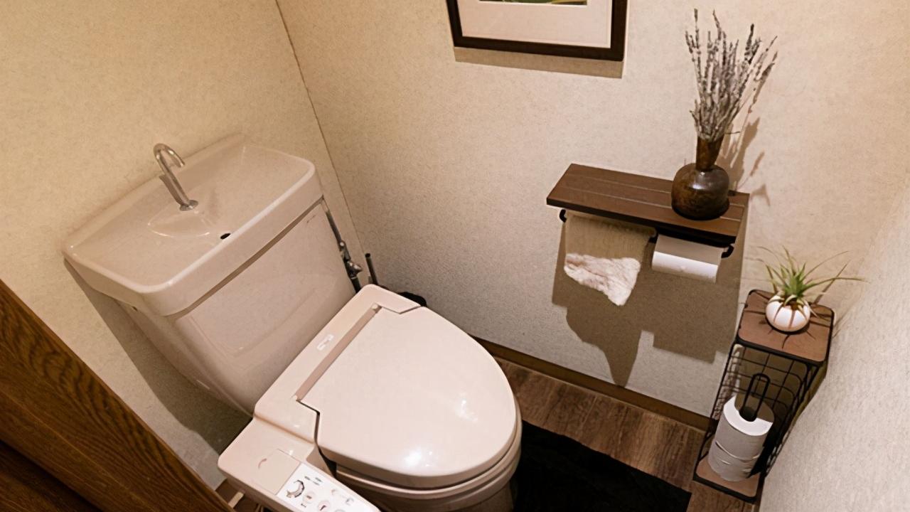 越来越多人卫生间不装马桶了，现在流行这种设计，比马桶干净卫生