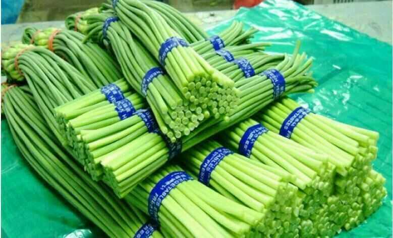 食材|同样是蒜薹，“红头”和“绿头”区别挺大，学会再买不吃亏