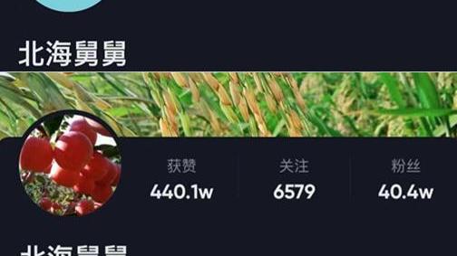 北海|北海掉粉严重，仍蹭姚威热度，网友劝其改名，不谈28成为空谈