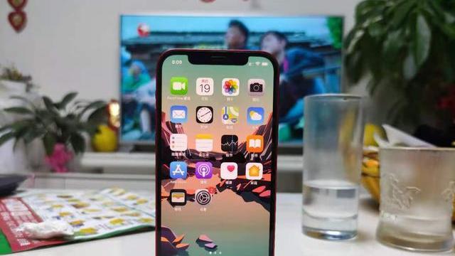 陈小春|陈小春夫妇代言索爱：iPhone13Pro外观设计，256GB存储仅899元