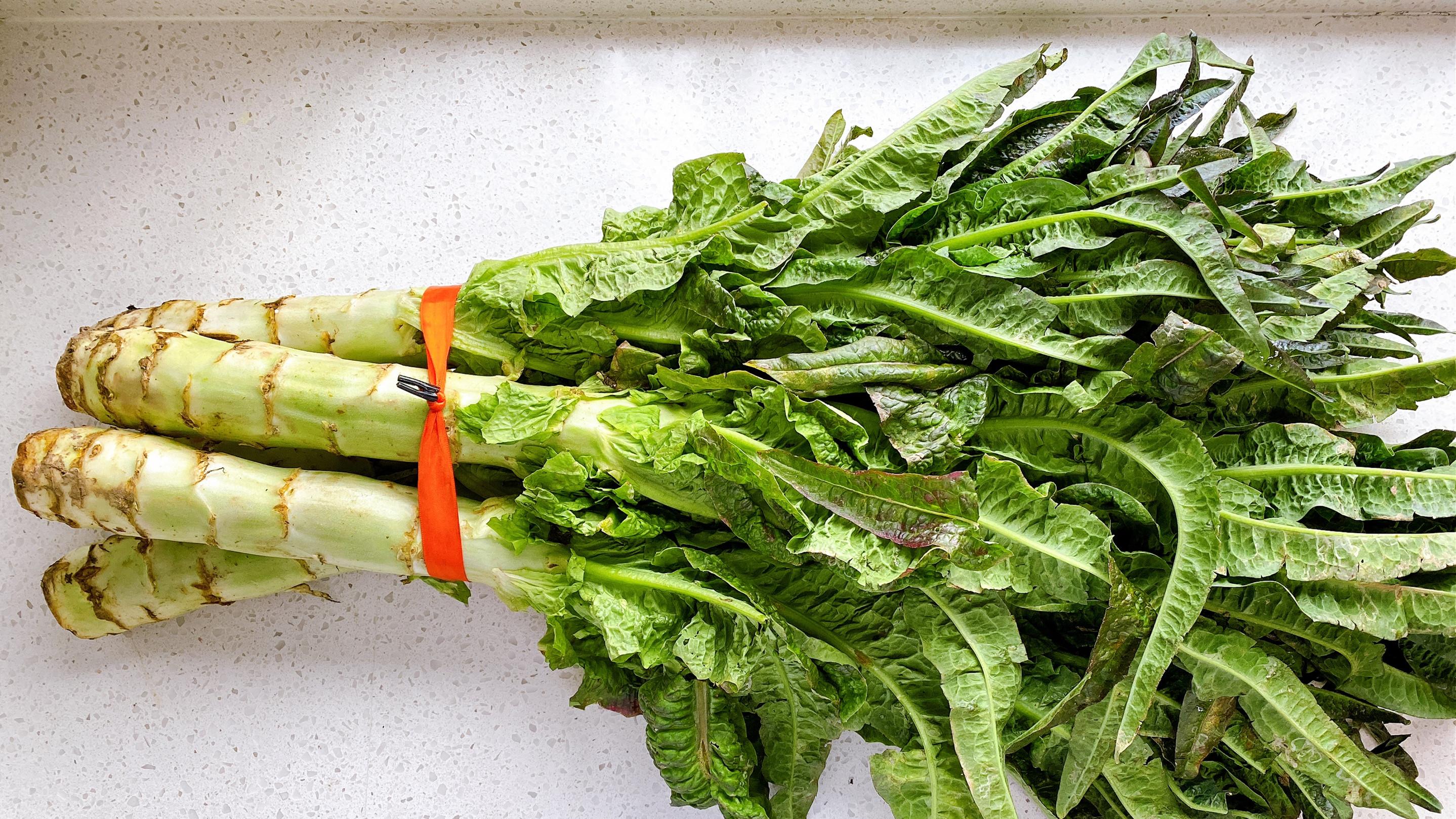 豆腐|8块钱买10斤莴笋，腌一大盆爽口莴笋，能吃半个月，脆嫩爽口开胃