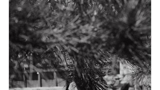 张雨绮|郭柯宇离婚后活成女王，手提几十万奢侈品包，脚踩上万名牌鞋