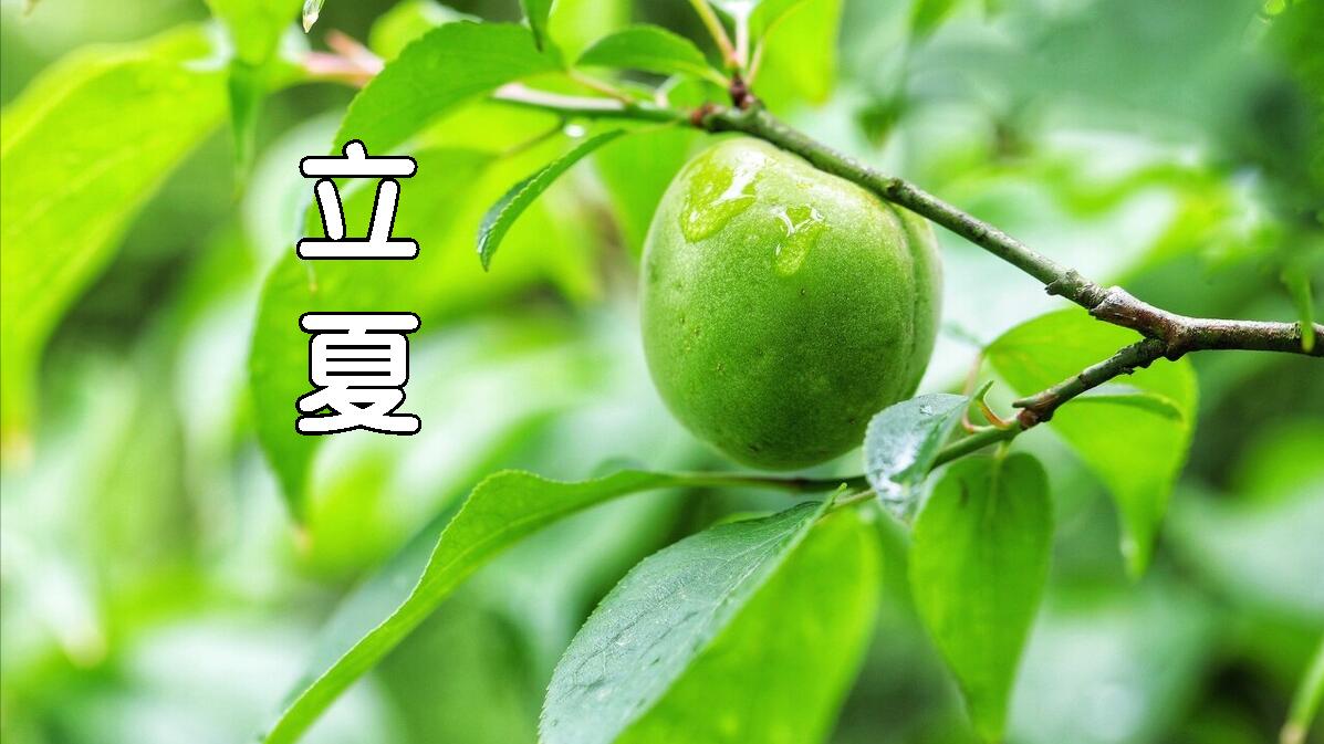 牛排|俗话说“立夏一碗汤”，一碗汤指的是什么？建议了解，早知道的好