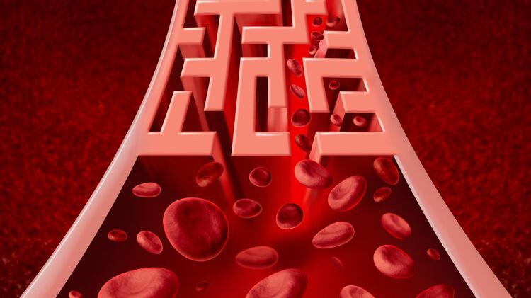 长寿|血型决定寿命？A型、B型、O型、AB型，哪种血型的人更容易患癌