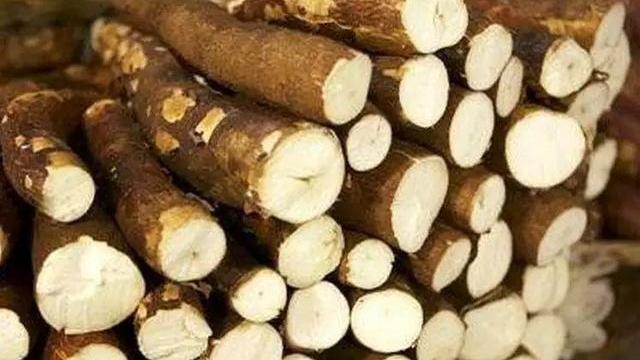 曾经用来救命的“木薯”，比发芽的马铃薯还毒，如今却成了美食