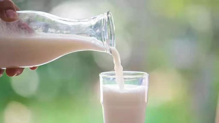 米饭|钙补充“最直接”的食物排行榜！牛奶排名第三，建议大家阅读了解