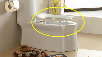 卫生间还纠结装蹲坑还是马桶？现在流行装这种，一下子满足了所有人