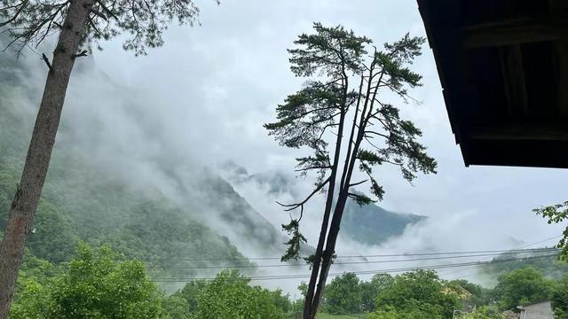 余秀华|余秀华发文谈婚后生活，她对爱情的定义颠覆了我们的认知