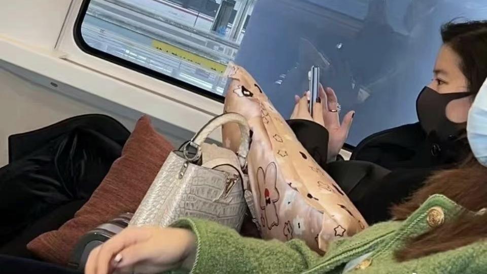 刘亦菲|网友高铁偶遇刘亦菲