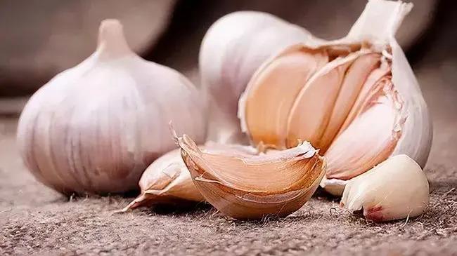 酸奶|胃痛胃胀别傻傻吃药！常吃这种“养胃”食物，养胃更护胃！